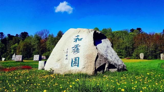 haha体育平台