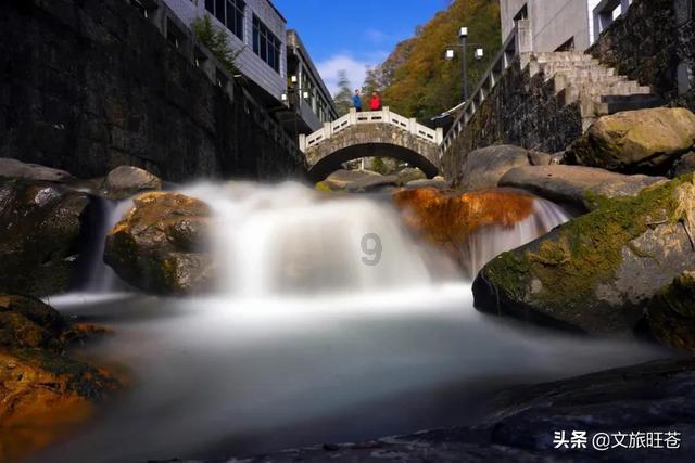 探索知识星球平台 | 为什么要追回前任？专属交流学习社区